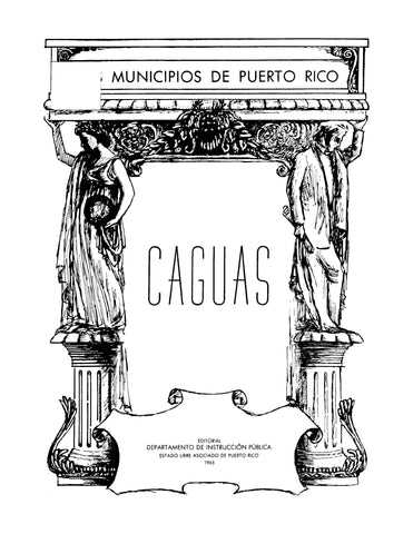 PUERTO RICO: Los Municipios de Puerto Rico: Caguas (Softcover)